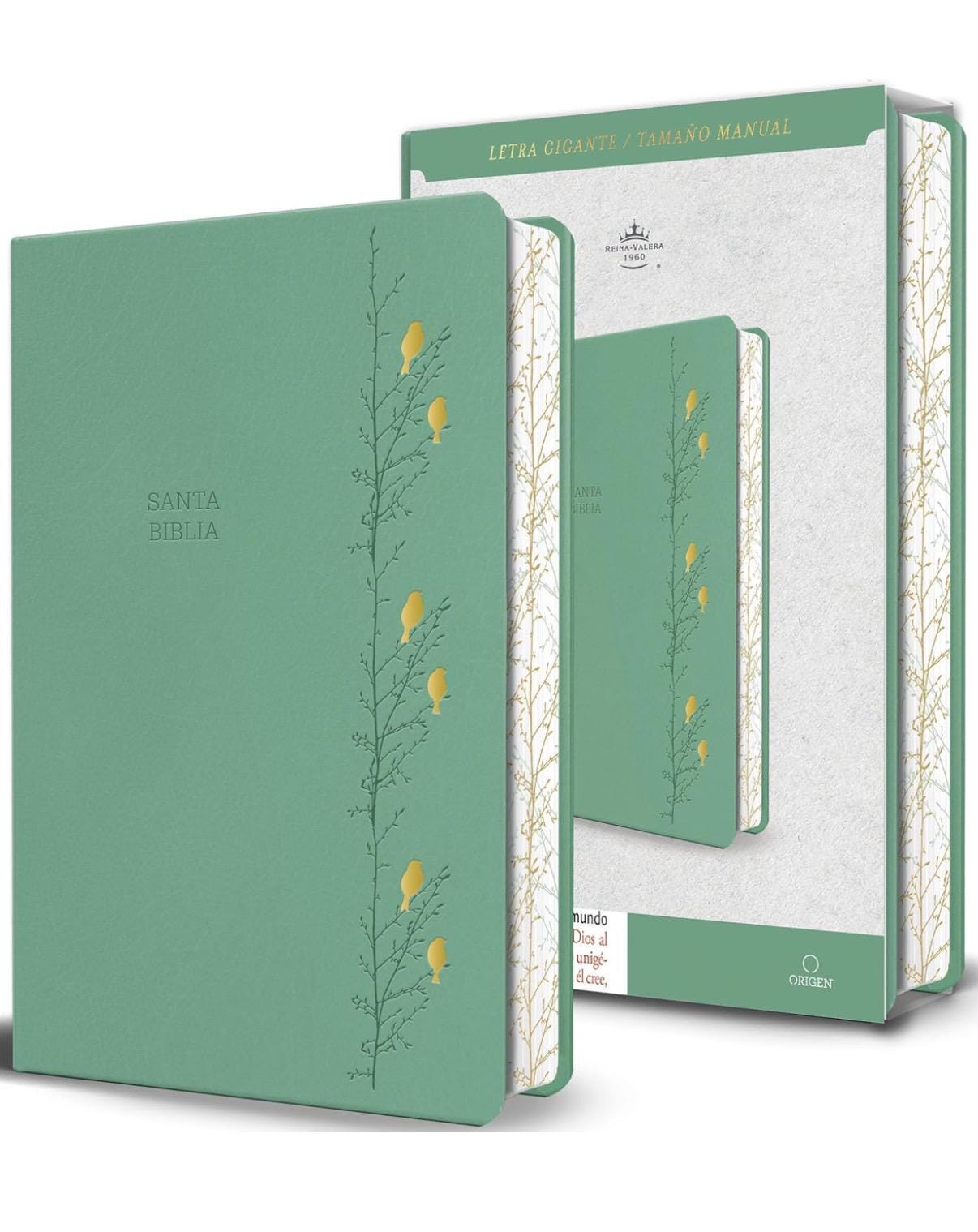 Lasered Biblia RVR 1960 Bible, Spanish Bible