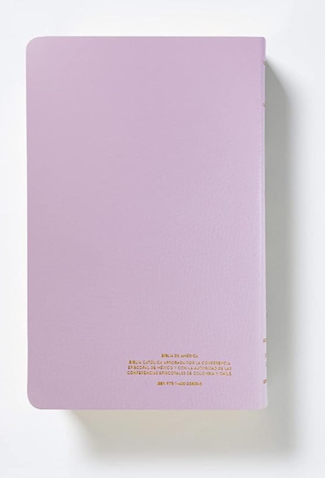 Biblia de America, Spanish Catholic Bible, Recycled Leather, Pink