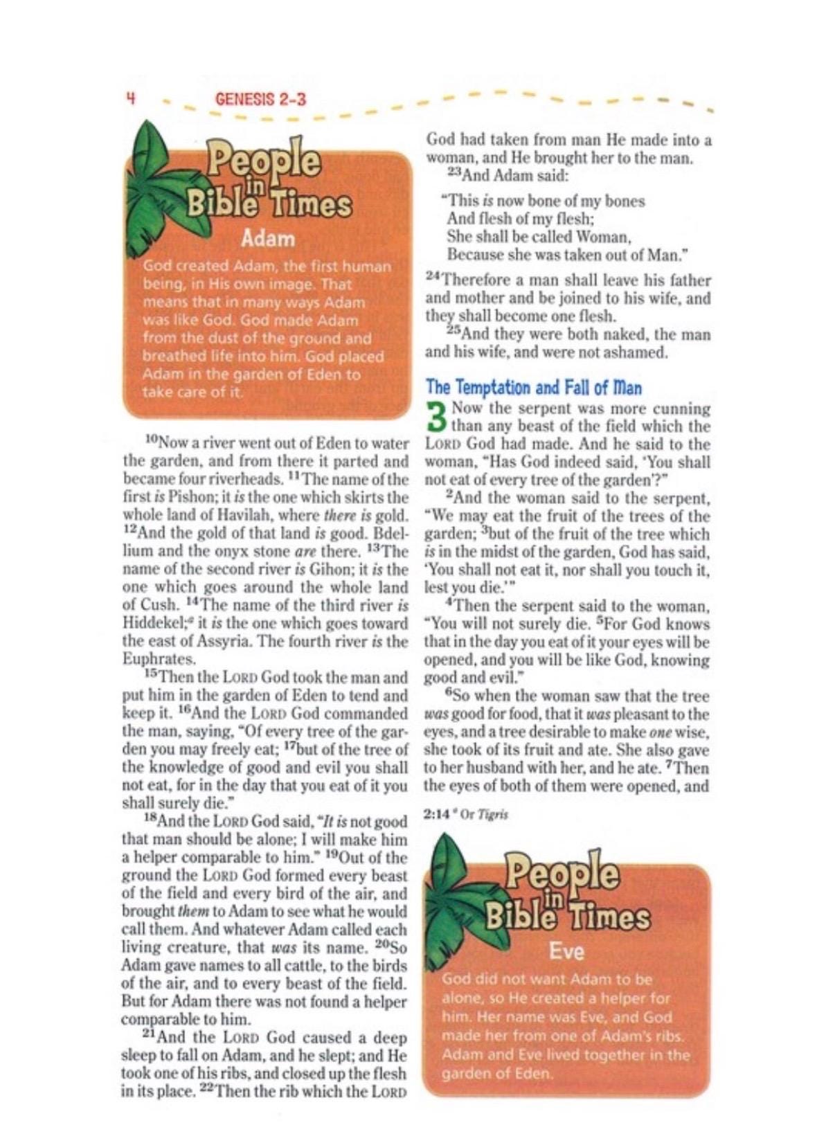 Personalized NIrV, Adventure Bible for Early Readers, Leathersoft, Blue. Custom Name Imprint