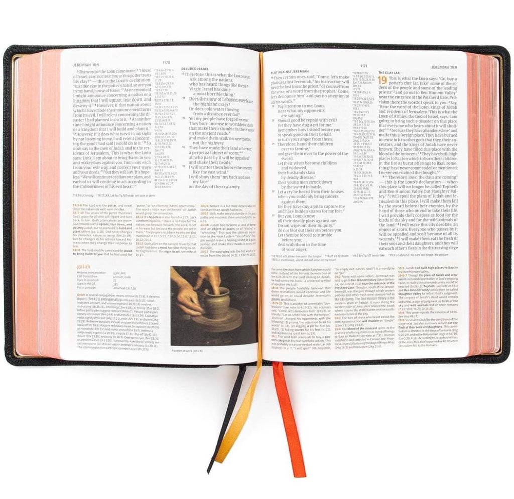 Biblia de Piel de Cabra, Biblia de Estudio CSB, Colección Artesanal Holman, Piel de Cabra Premium Negra, Letra Roja, Notas de Estudio y Comentario