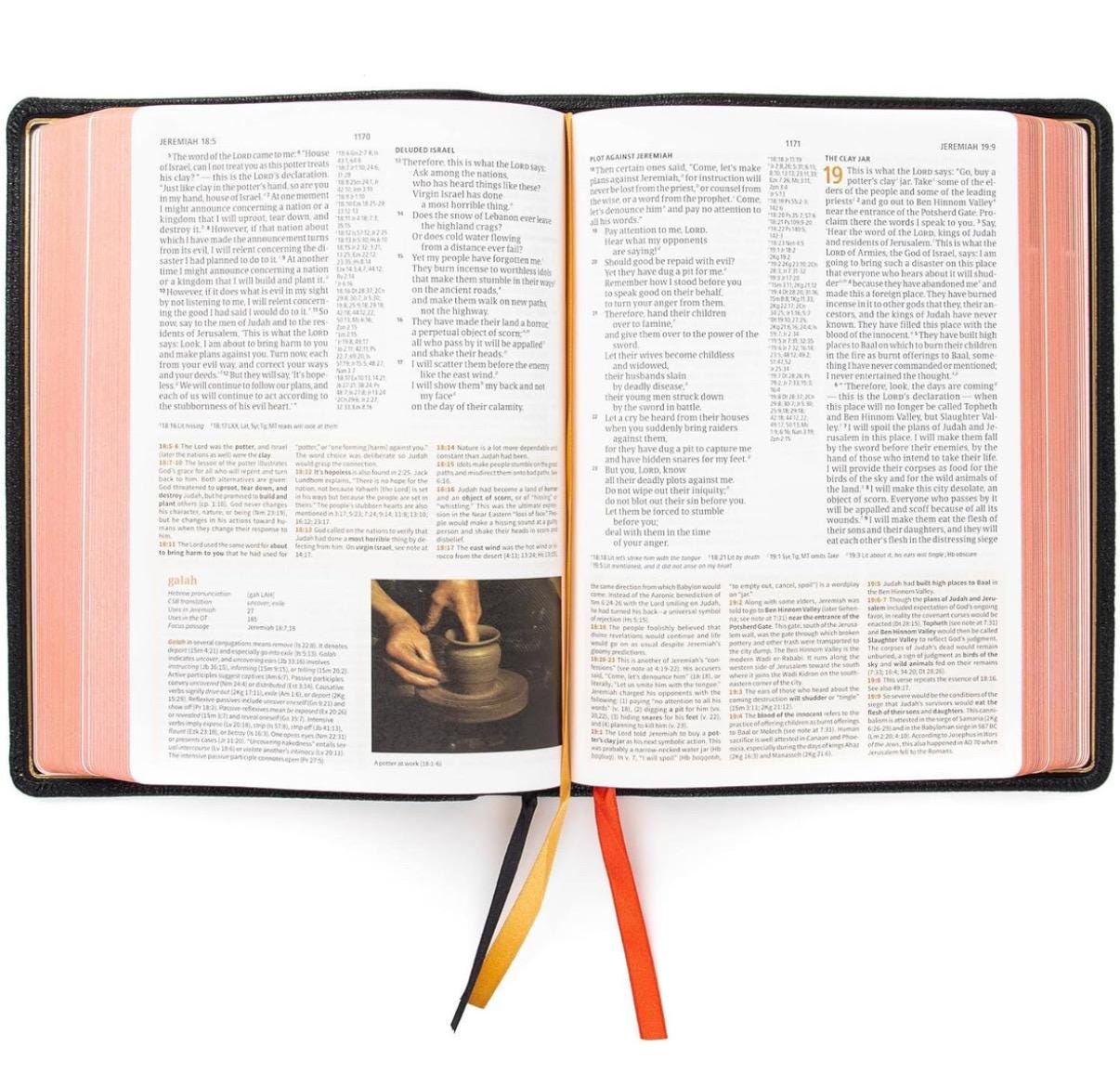 Biblia de Piel de Cabra, Biblia de Estudio CSB, Colección Artesanal Holman, Piel de Cabra Premium Negra, Letra Roja, Notas de Estudio y Comentario