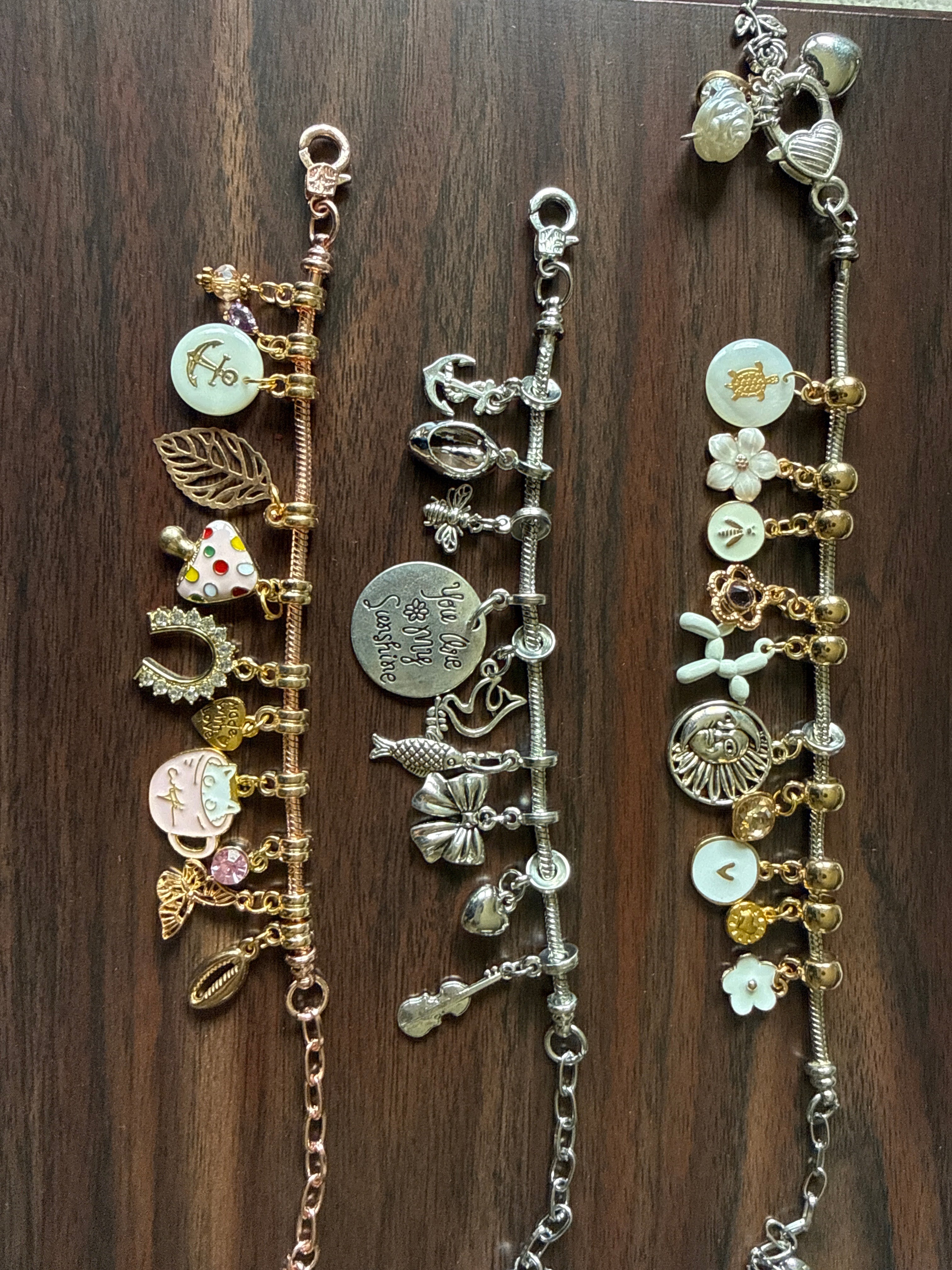Piedmont Park $20 Necklace/Bracelet with 10 charms only