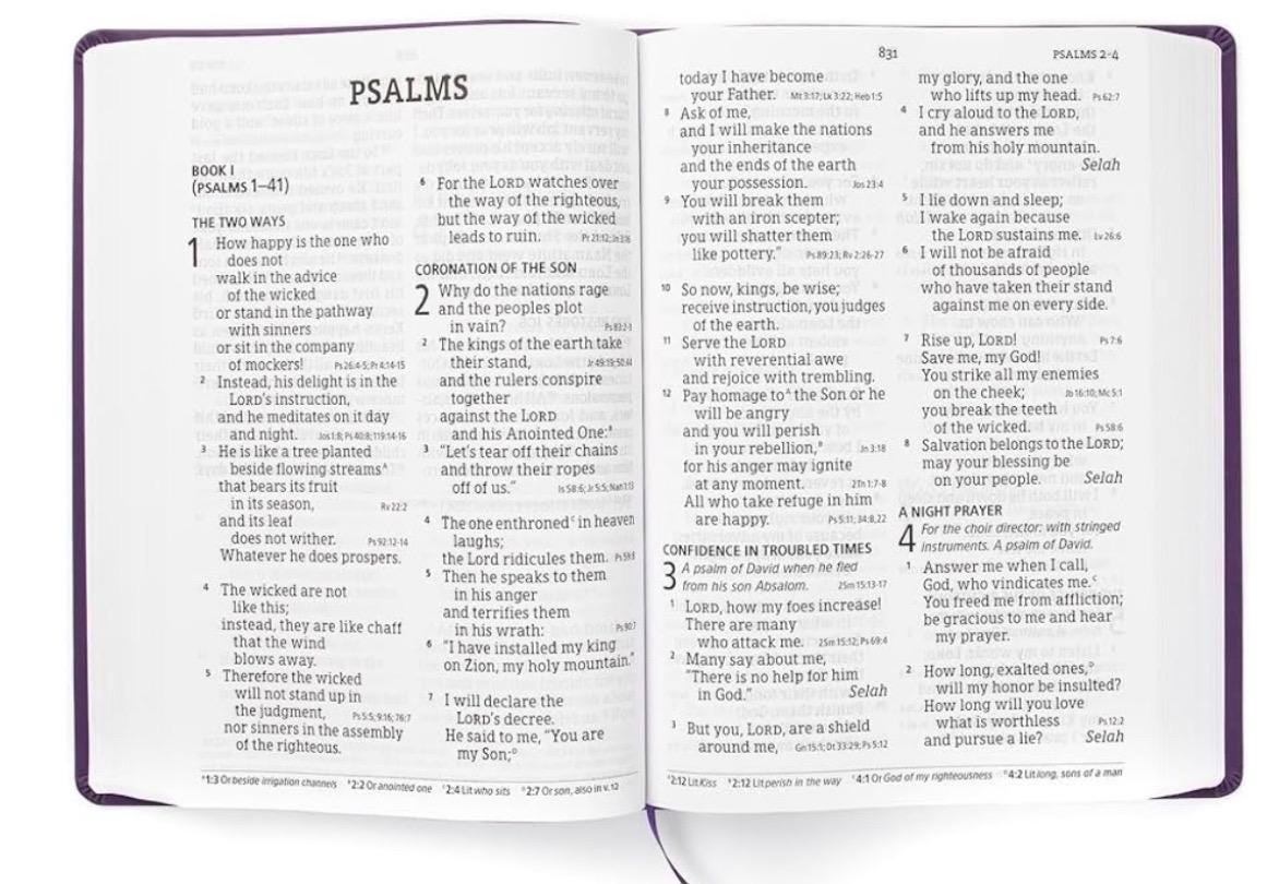 Personalized Purple Floral Print CSB Super Giant Print Reference Bible, Value Edition, 16 pt LeatherTouch, Red Letter, 10.7”