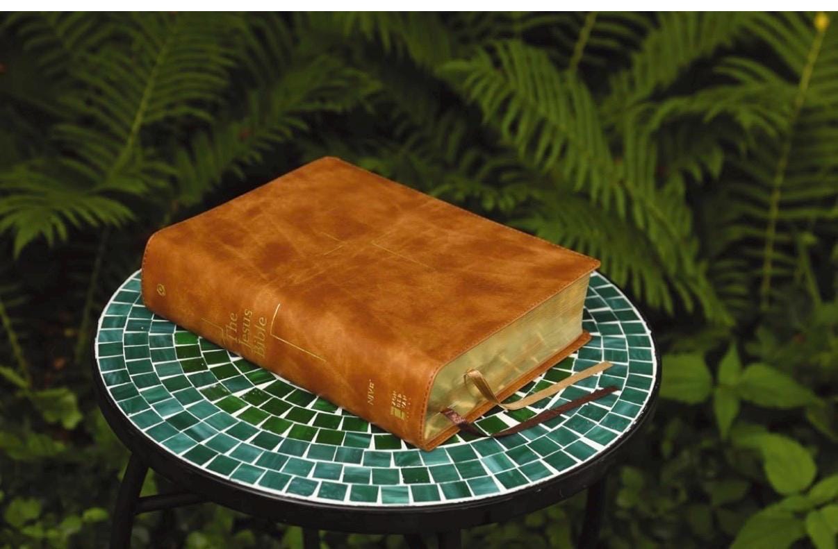 Personalized Jesus Bible NIV - Tan LeatherSoft, Comfort Print