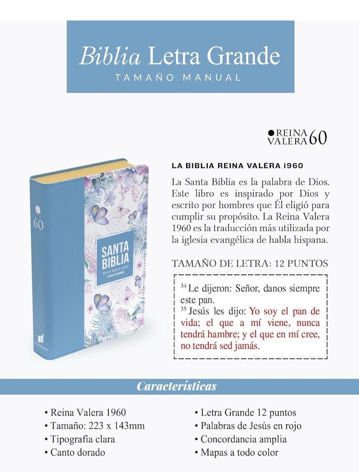 Spanish edition Biblia RVR 1960 Letra Grande Tamaño Manual Símil Piel Azul Acero Claro(Bible RVR 1960 Large Print Leather