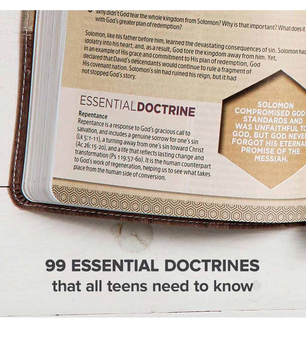 Biblia para adolescentes, Biblia de estudio para adolescentes, Biblia de estudio esencial para adolescentes, Piel sintética corcho gris envejecido, Devocionales, Herramientas de estudio, Letra roja,