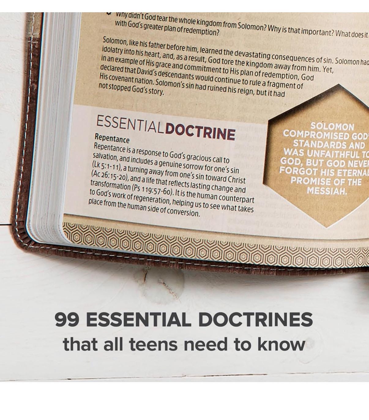 Teen Bible, Study Bible for teens, Essential Teen Study Bible, Weathered Gray Cork LeatherTouch, Devotionals, Study Tools, Red Letter,