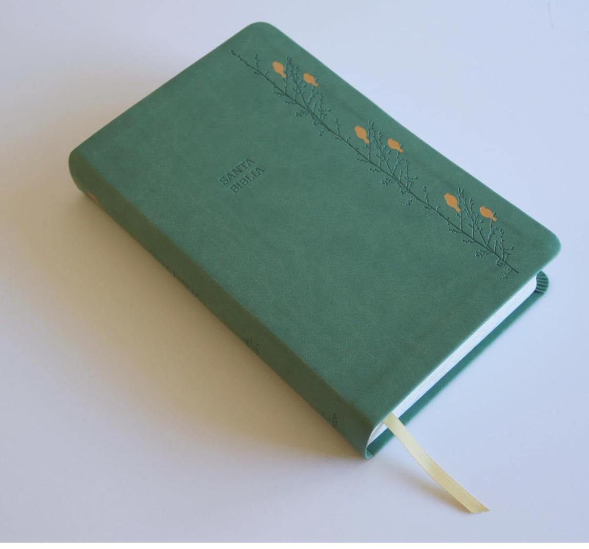 Lasered  Biblia RVR 1960 Bible, Spanish Bible