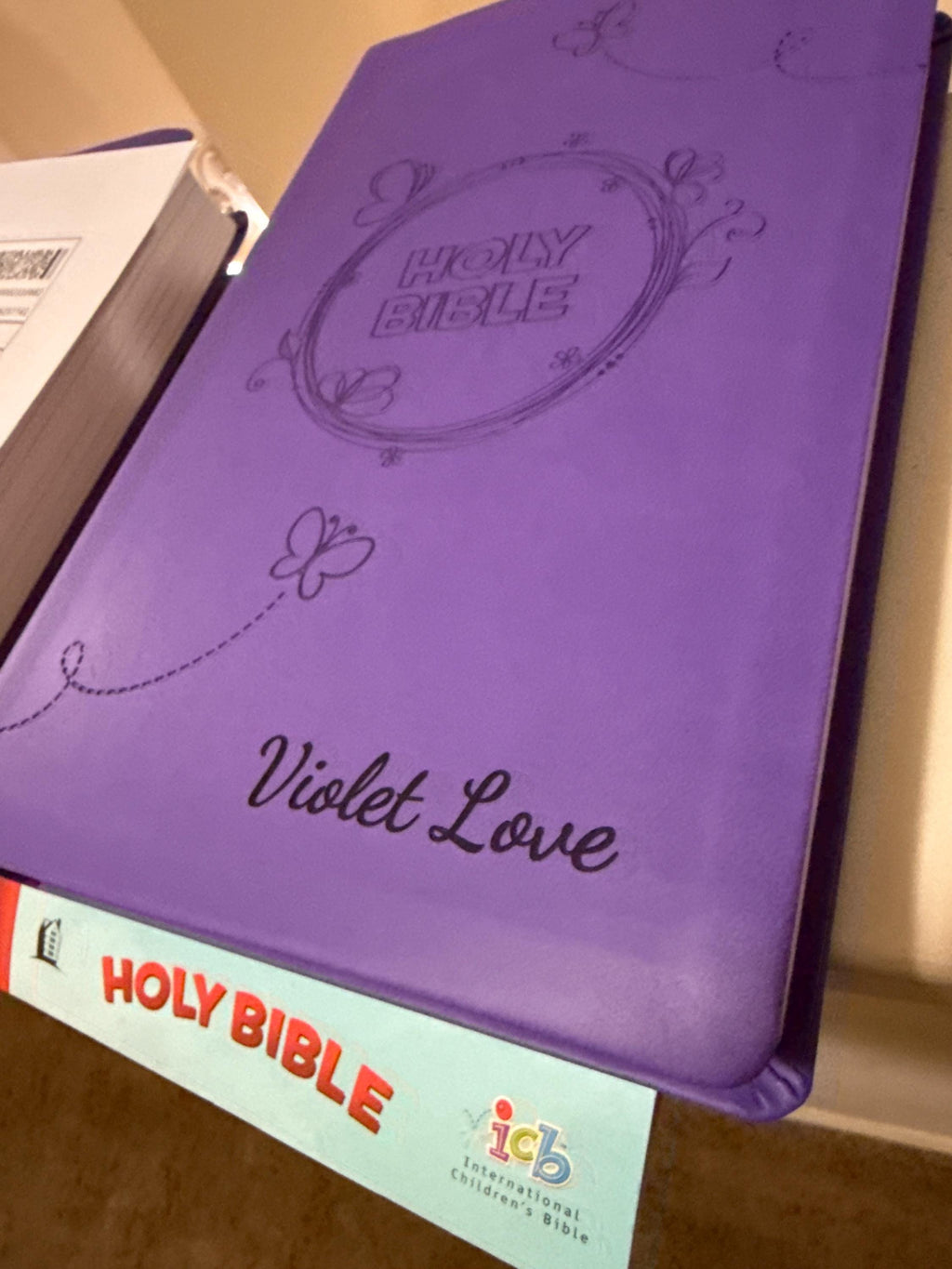 Biblia para niños personalizada - Púrpura LeatherSoft, ICB