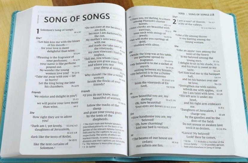 Personalizada con Nombre NVI, Biblia de Referencia de Letra Súper Gigante, Tapa Blanda Imitación Cuero, Verde Azulado, Letra Roja, Biblia Grabada, Personalizada, Regalo de Graduación