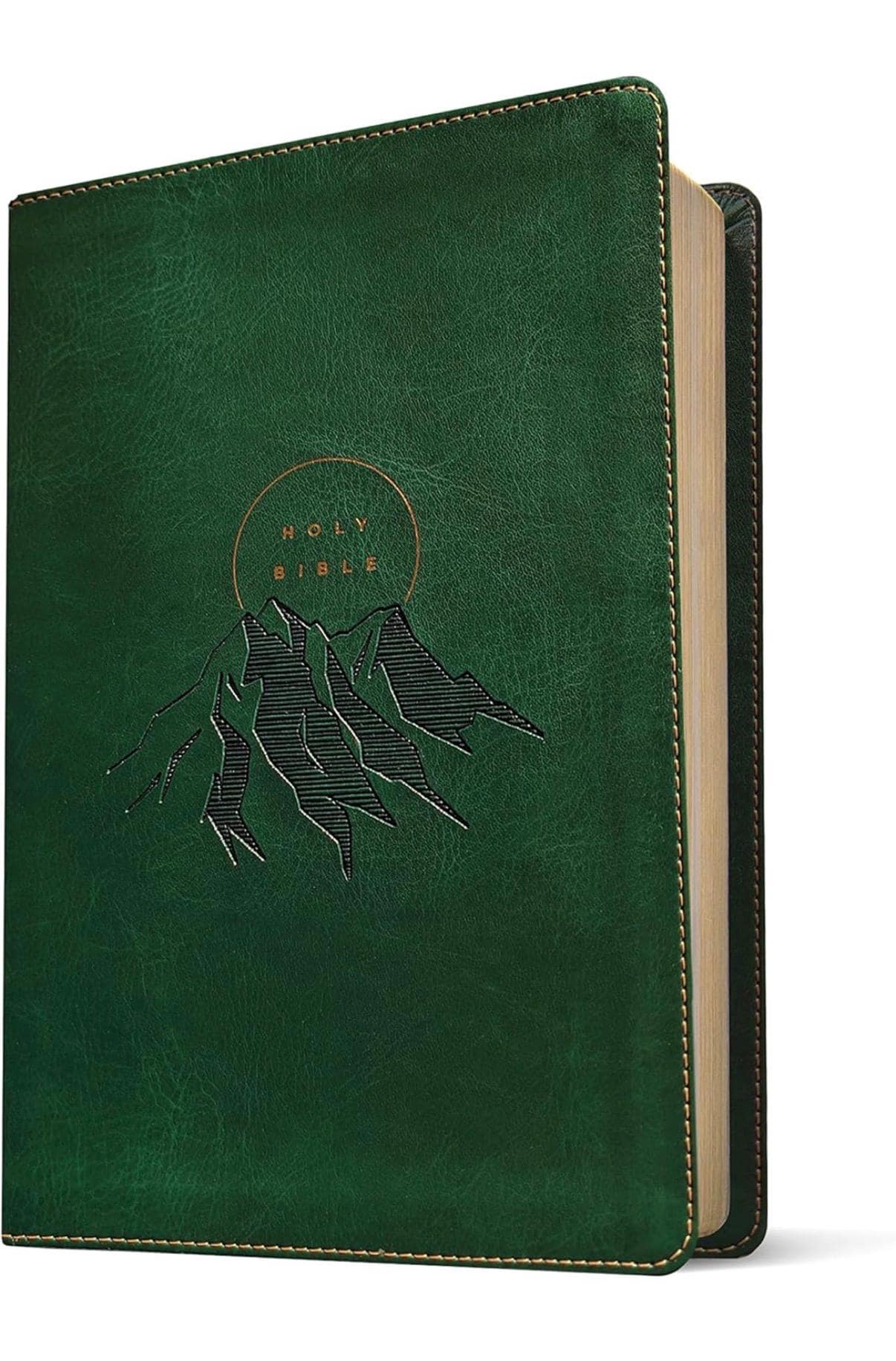 Personalized NLT Giant print red letter bible