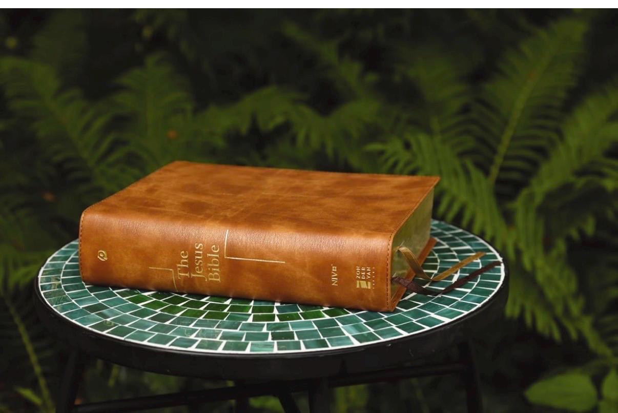 Personalized Jesus Bible NIV - Tan LeatherSoft, Comfort Print