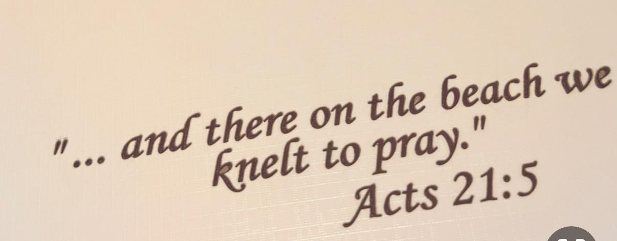 CSB She Reads Truth Bible, Cream Hardcover, Personalized Engraving