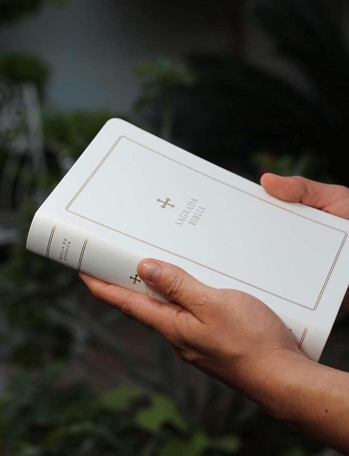 Personalized Biblia Catolica, Recycled Leather, Comfort Print (Spanish Edition)