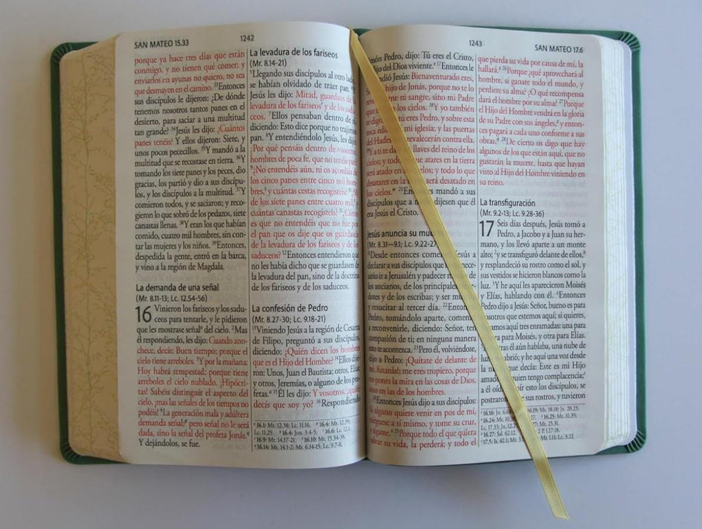 Biblia RVR 1960 Bible, Spanish Bible