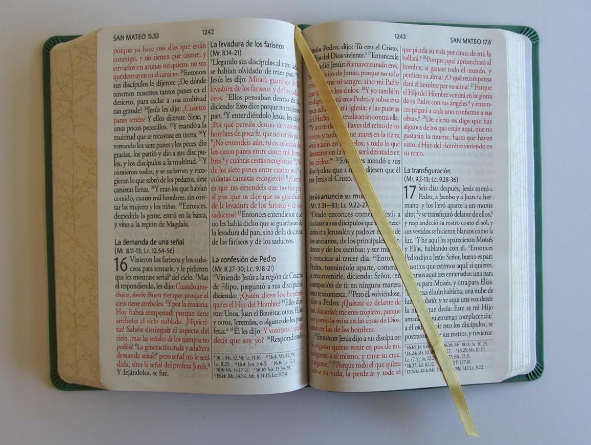 Biblia RVR 1960 Bible, Spanish Bible