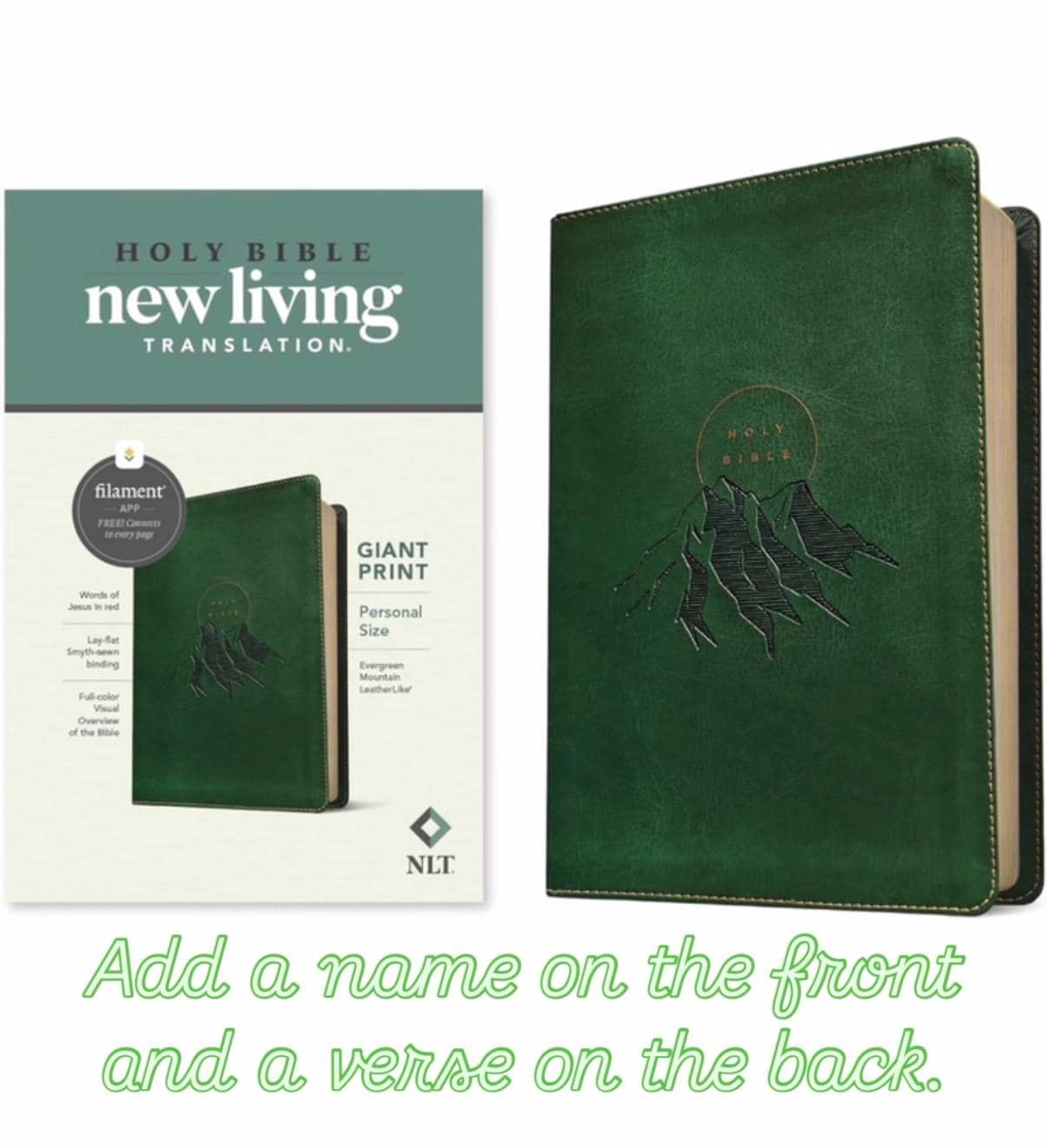 Personalized NLT Giant Print Bible - Filament, 12pt, Red Letter