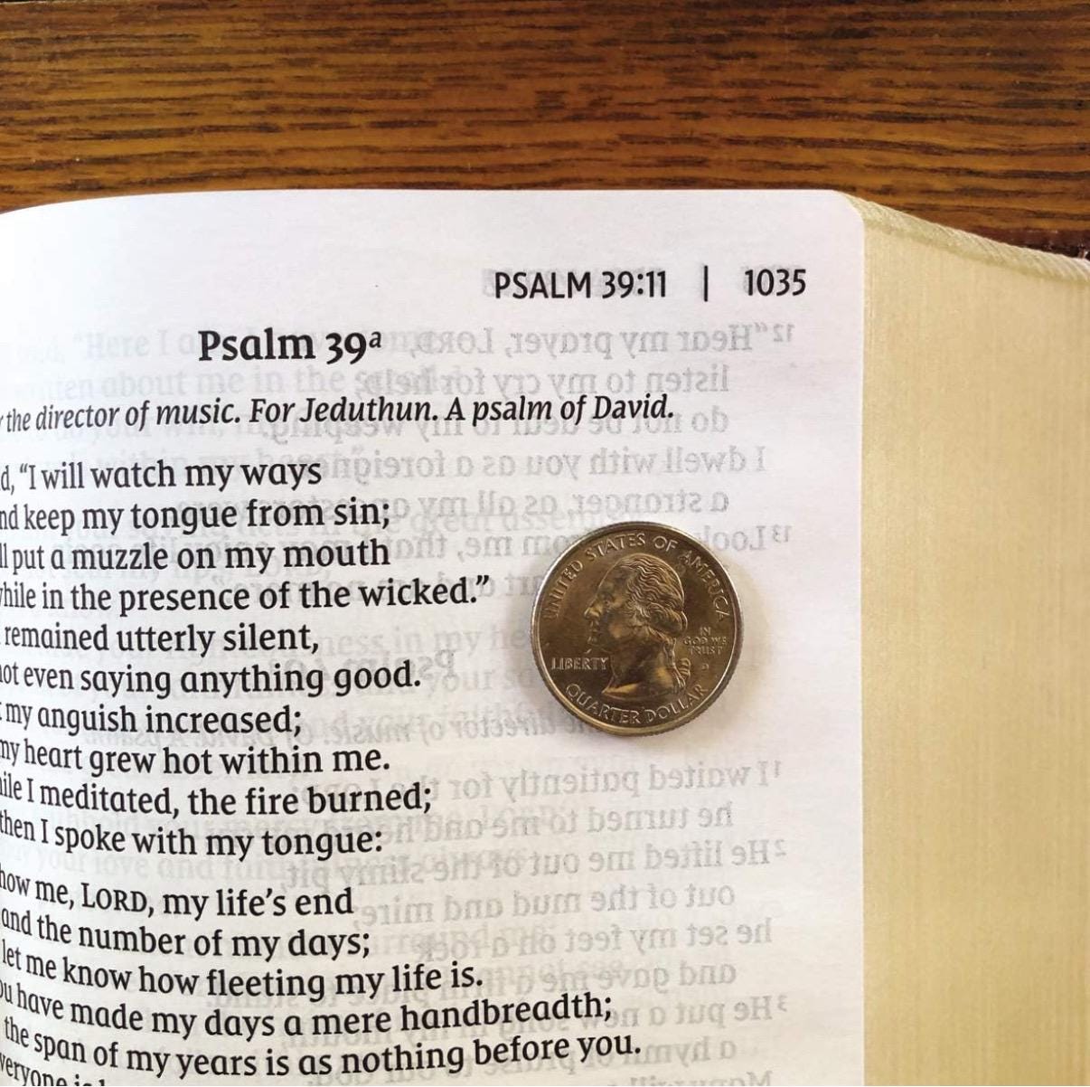 NVI Personalizada, Biblia de letra grande compacta, Piel sintética, Marrón, Letra roja, Comfort Print