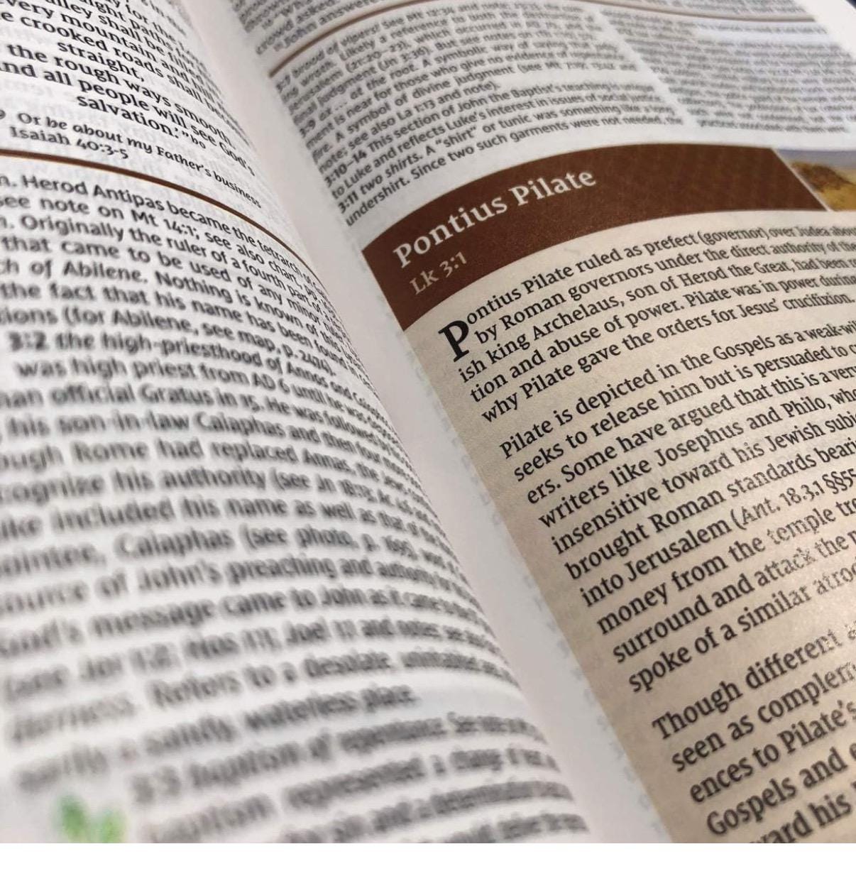Personalized NIV Study Bible - Brown/Blue, Personal Size, Revised