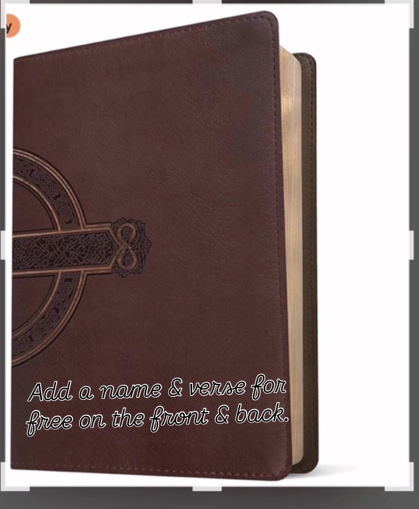 Giant Print New Living Translation Bible