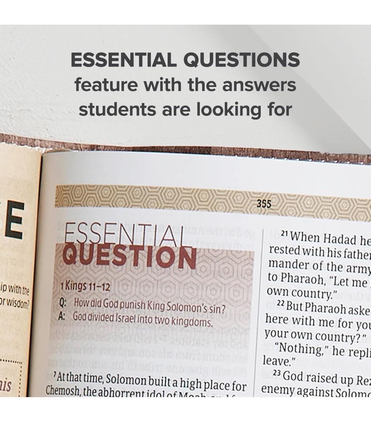 Teen Bible, Study Bible for teens, Essential Teen Study Bible, Weathered Gray Cork LeatherTouch, Devotionals, Study Tools, Red Letter,