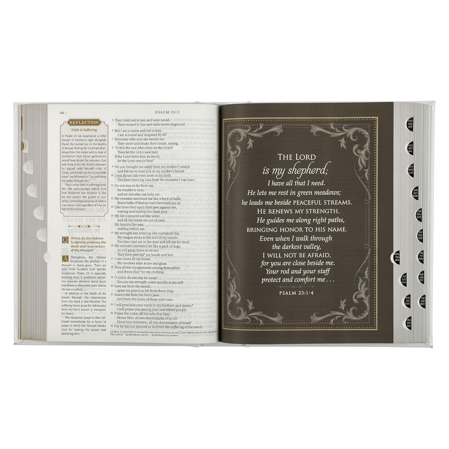 Personalice el apellido y un versículo. Biblia NLT Family Heritage, Biblia devocional familiar de tapa dura de letra grande para el estudio