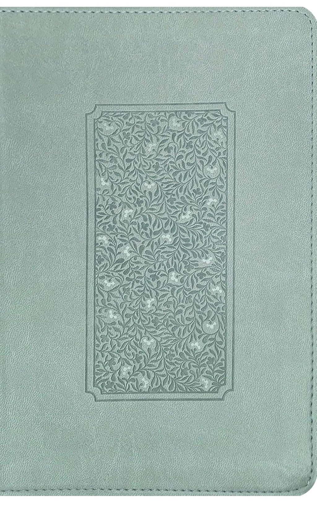 Personalized NLT Giant Print Bible - Filament, 12pt, Thumb Index