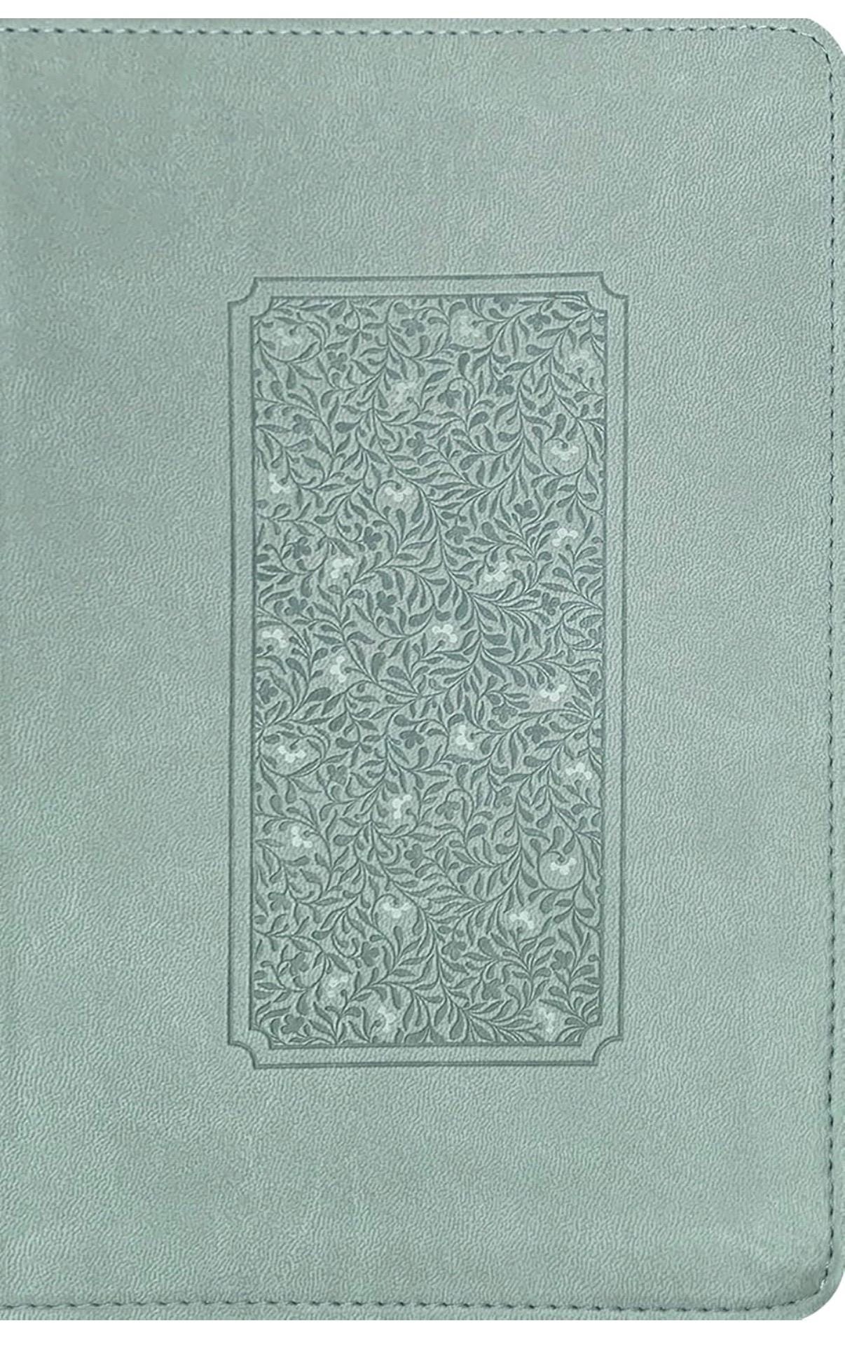 Personalized NLT Giant Print Bible - Filament, 12pt, Thumb Index