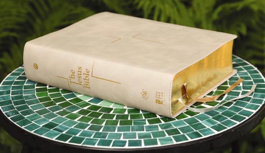 Personalized Jesus Bible ESV Edition - Stone LeatherSoft, Journaling
