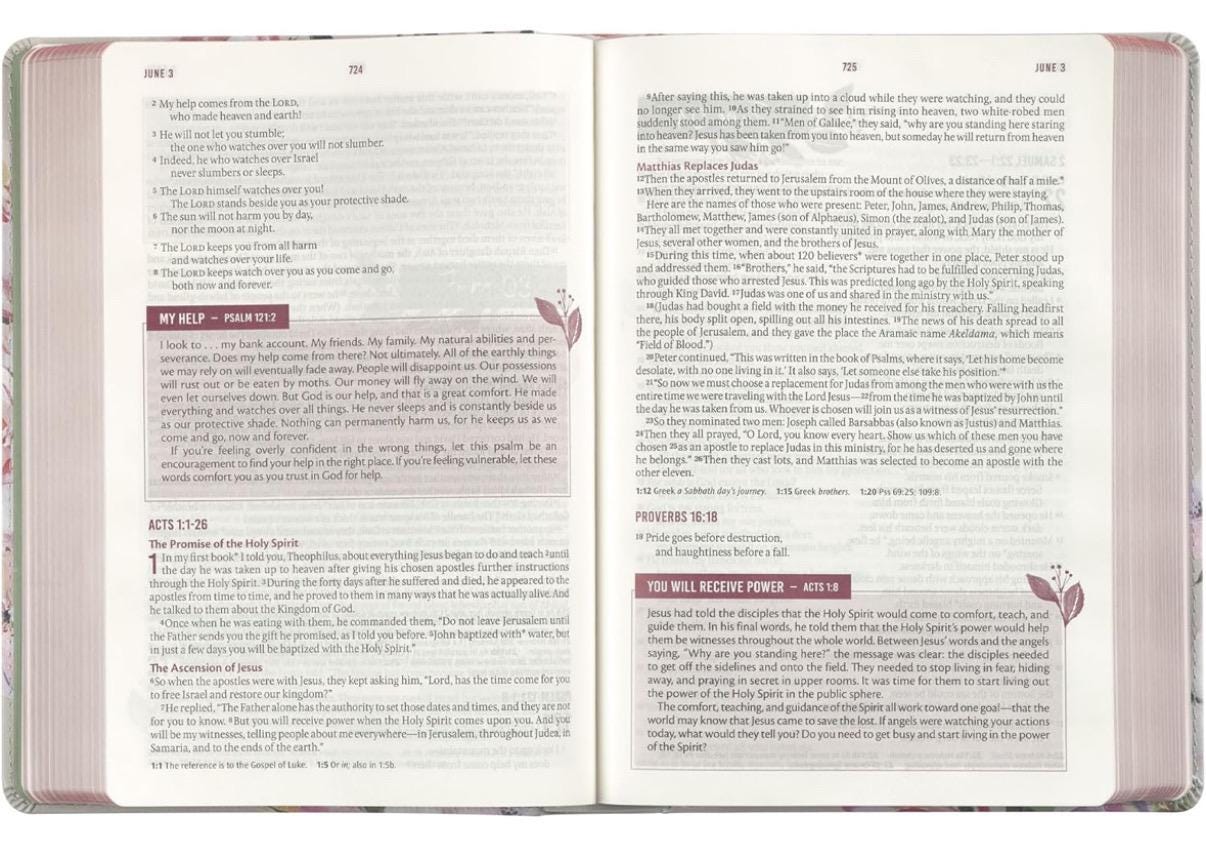 Biblia Sagrada NLT Personalizada, Diseño Floral, Biblia Devocional para Mujeres