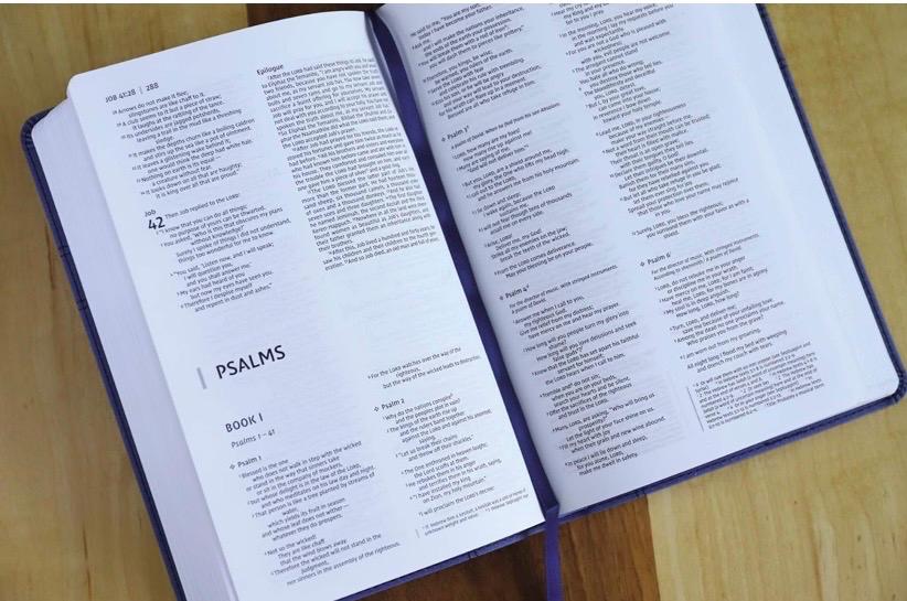 NIV, Biblia de regalo prémium, Nombre personalizado gratis, Piel sintética, Azul marino, Letra roja, Letra legible: