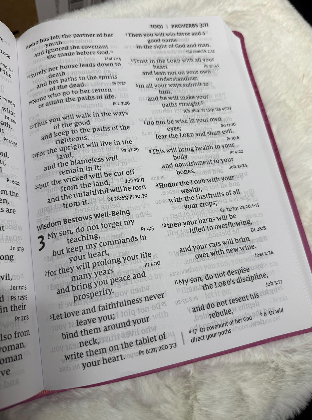 Biblia Personalizada NVI Letra Súper Grande - Rosa, letra cómoda de 16.5 puntos