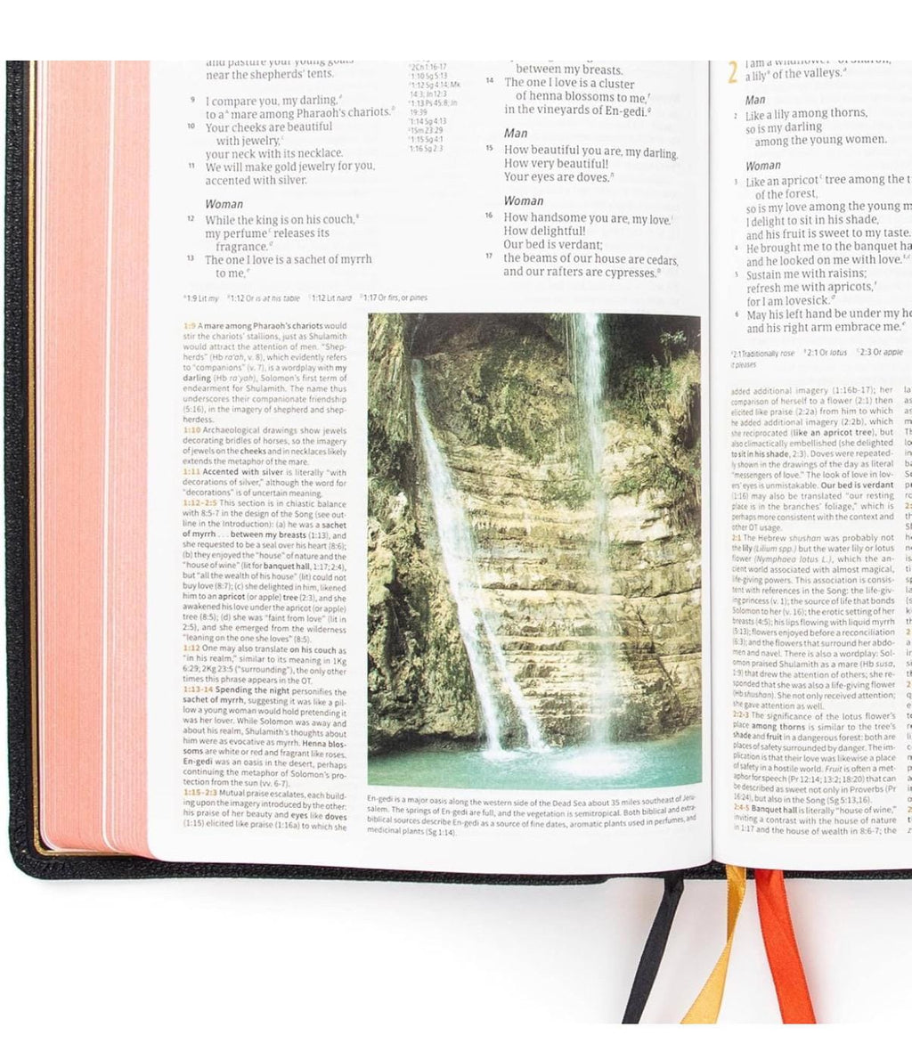 Biblia de Piel de Cabra, Biblia de Estudio CSB, Colección Artesanal Holman, Piel de Cabra Premium Negra, Letra Roja, Notas de Estudio y Comentario
