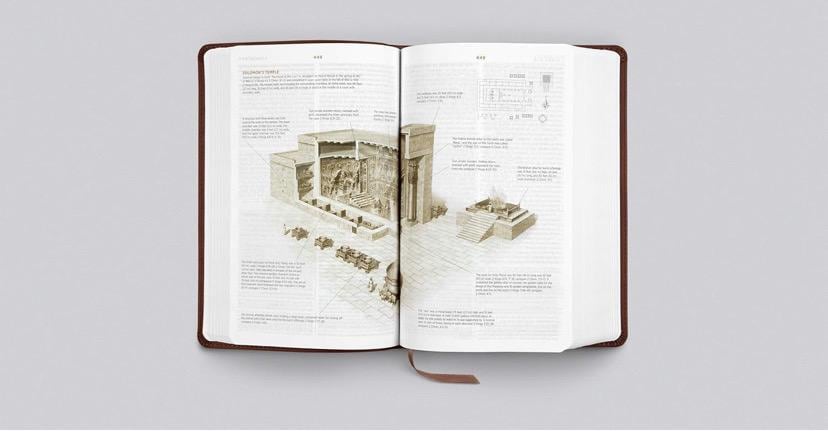 ESV Laser Engraved Student Study Bible