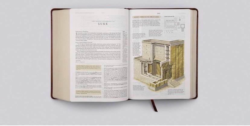 ESV Study Celtic Bible
