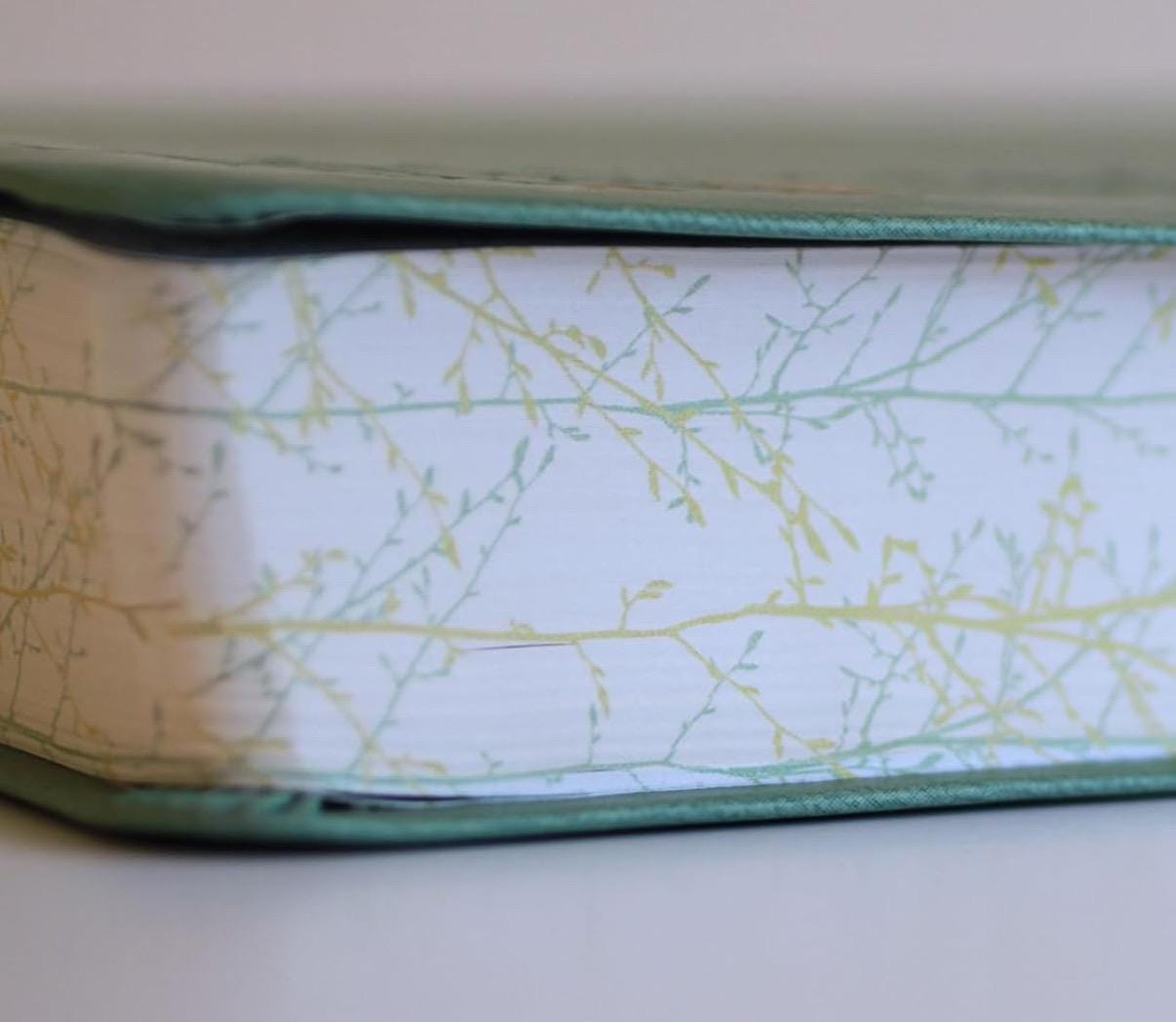 Lasered  Biblia RVR 1960 Bible, Spanish Bible