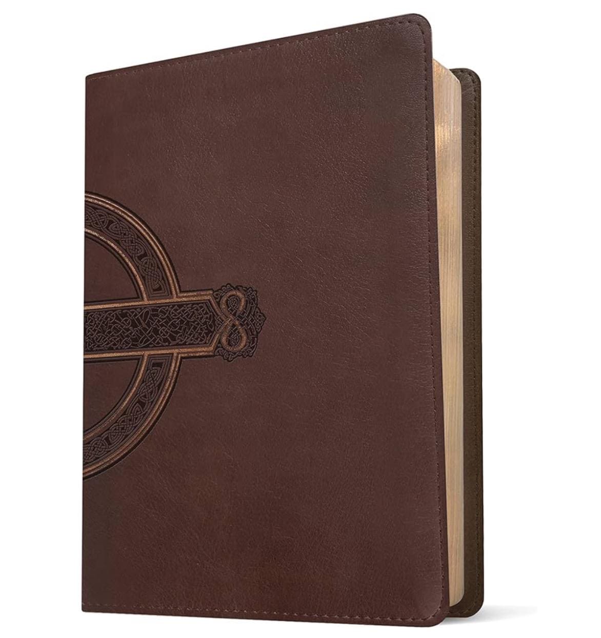 Giant Print New Living Translation Bible