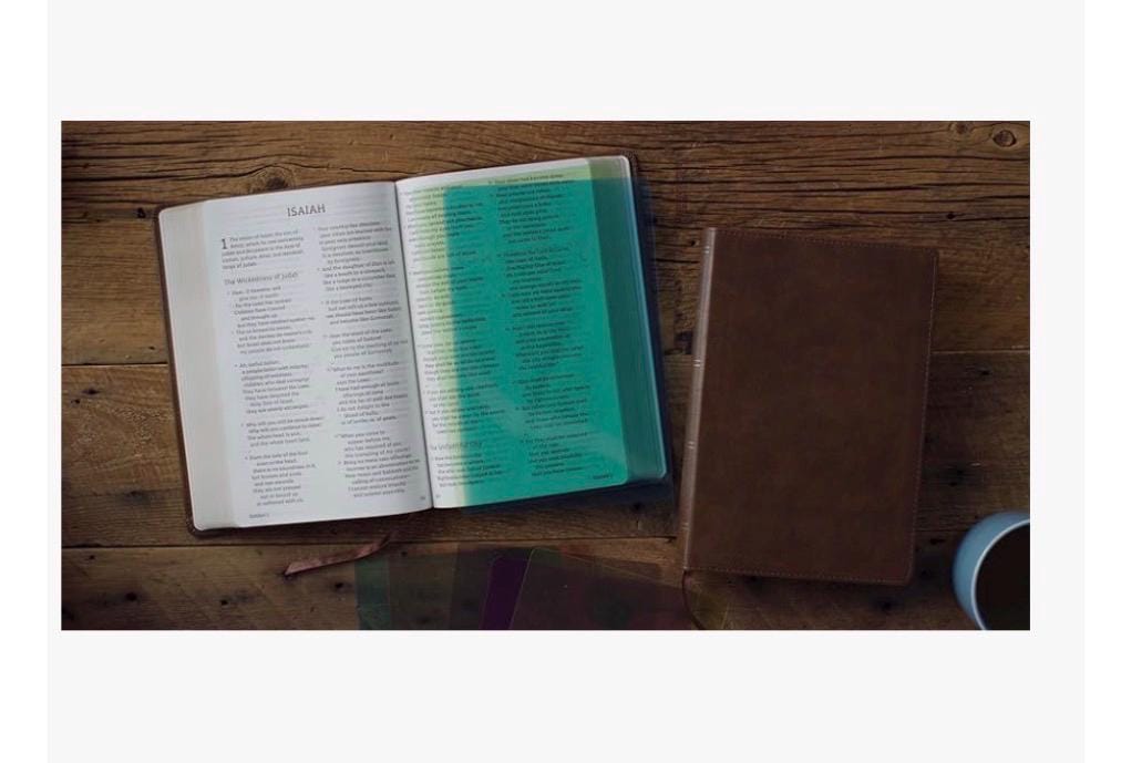 Personalized ESV Dyslexia-Friendly Bible - Color Overlays, 6x9