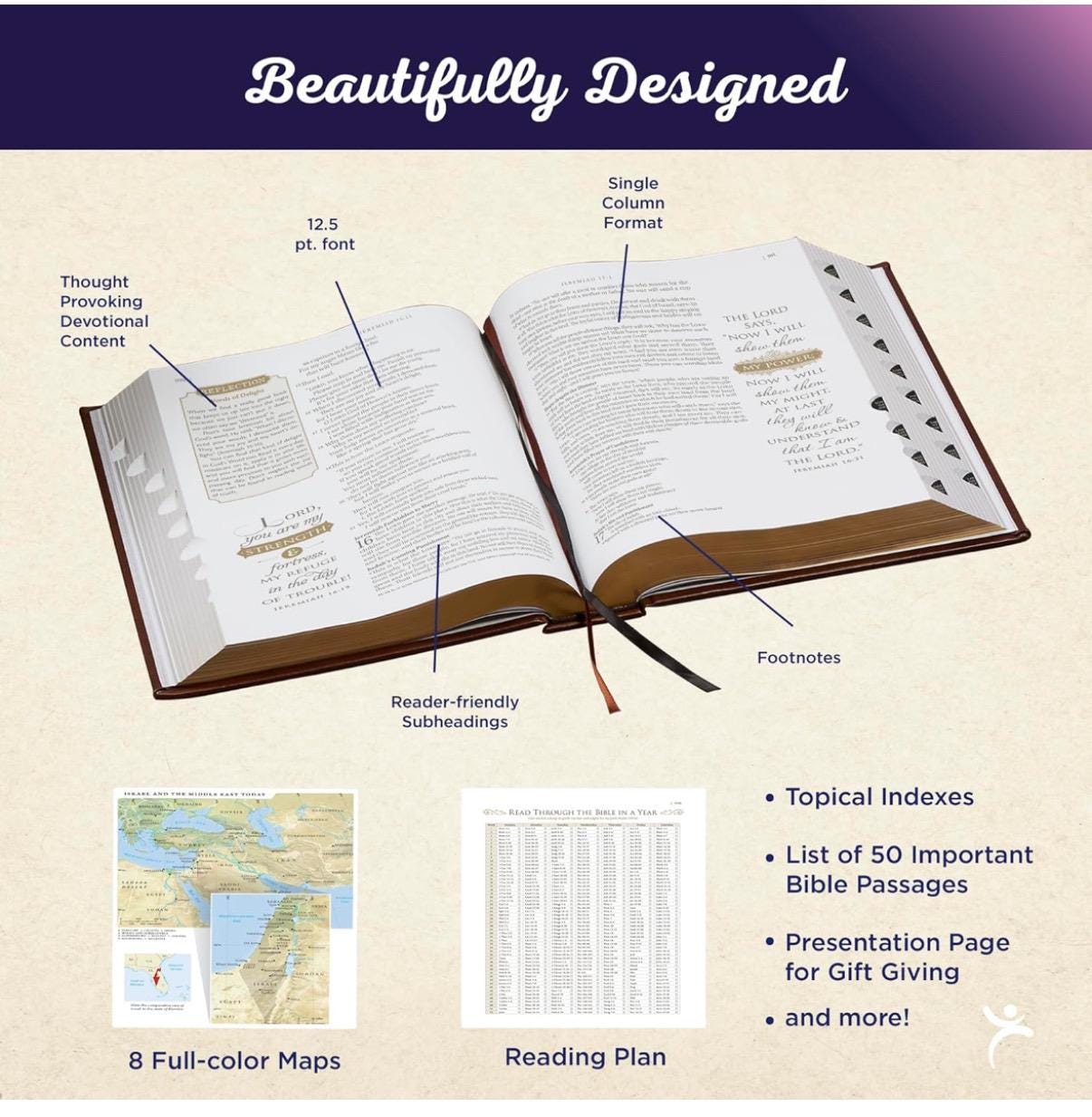 Personalice el apellido y un versículo. Biblia NLT Family Heritage, Biblia devocional familiar de tapa dura de letra grande para el estudio