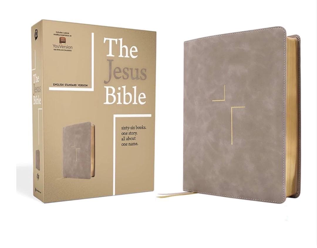 Personalized Jesus Bible ESV Edition - Stone LeatherSoft, Journaling