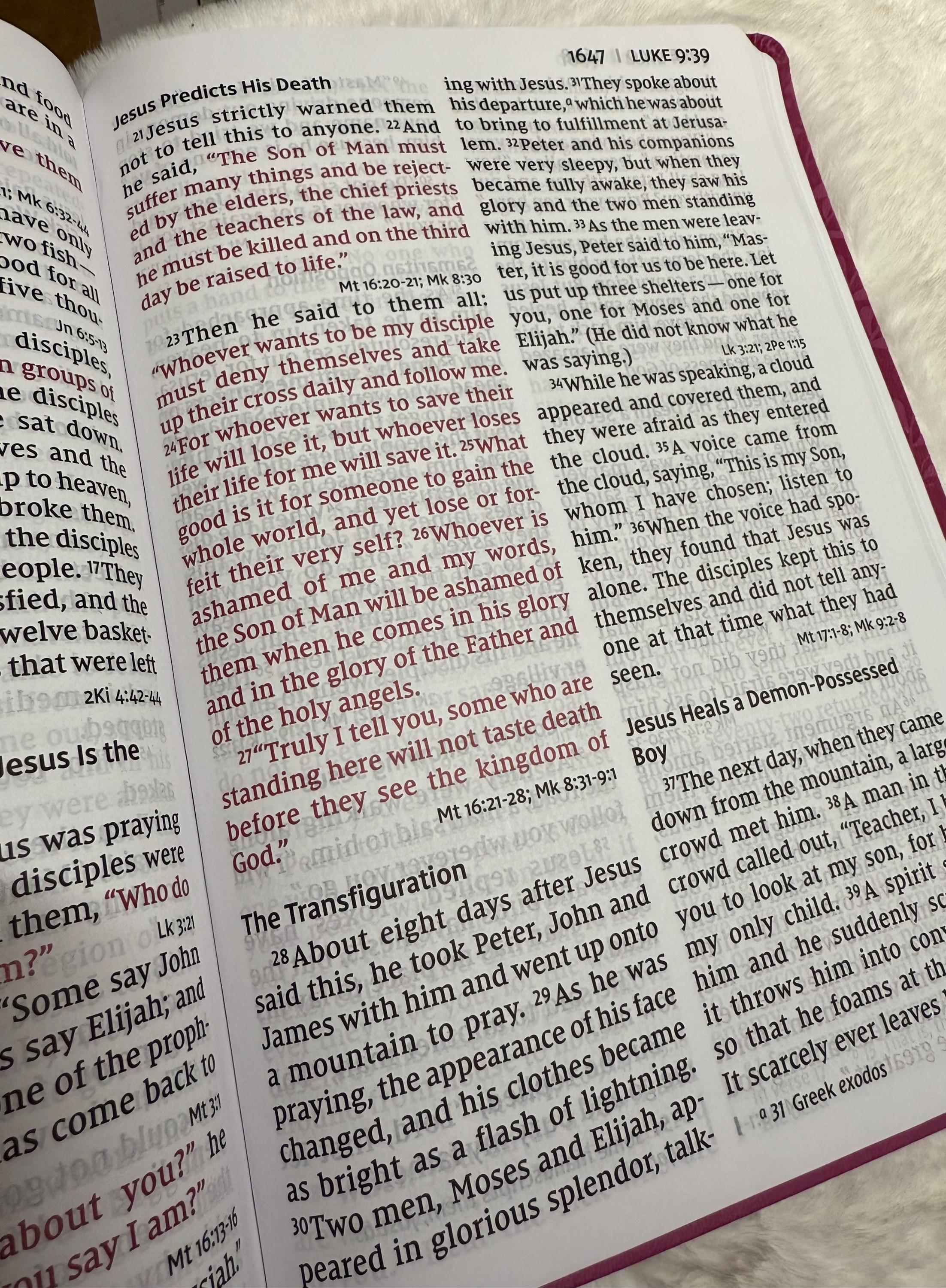 Biblia Personalizada NVI Letra Súper Grande - Rosa, letra cómoda de 16.5 puntos