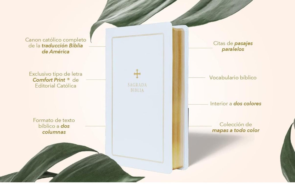 Personalized Biblia Catolica, Recycled Leather, Comfort Print (Spanish Edition)