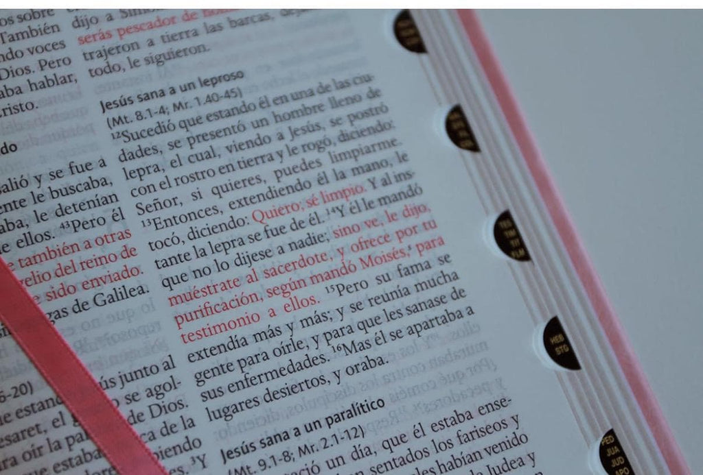 Personalized Biblia RVR 1960 letra grande tamaño manual, Piel rosada con índice / Spanish Bible RVR 1960 Handy Size Large Print