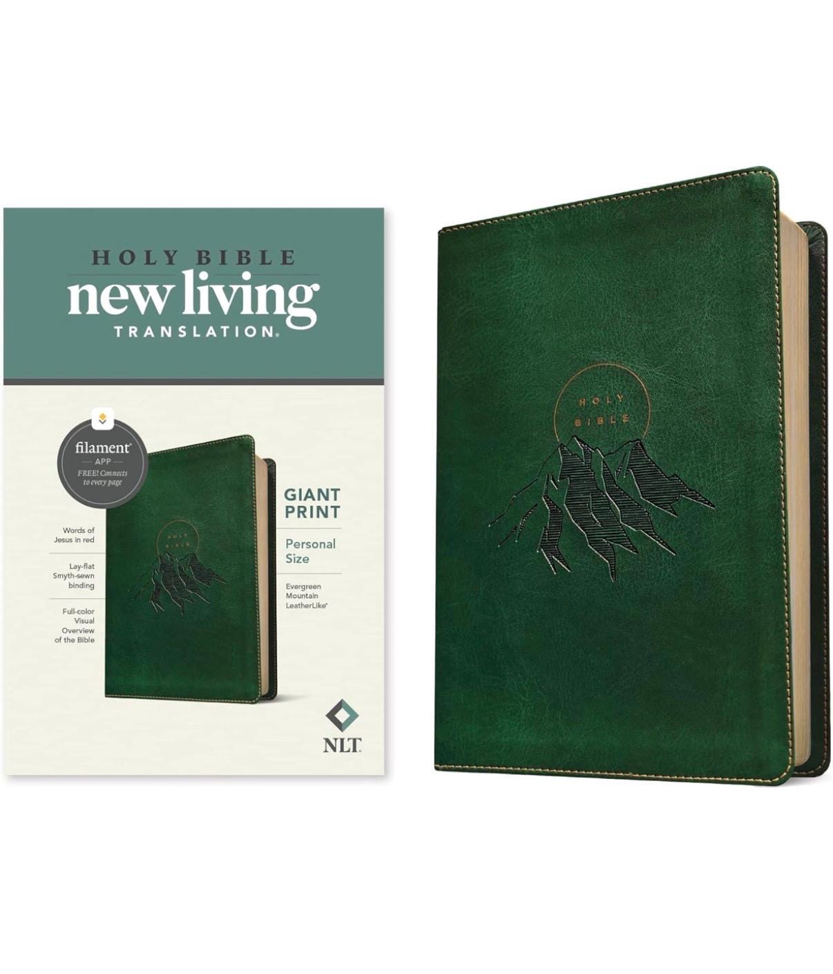 Personalized NLT Giant Print Bible - Filament, 12pt, Red Letter