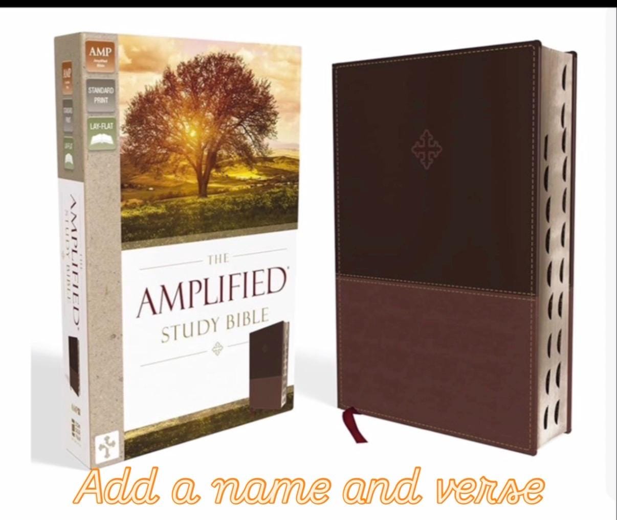 Personalized Amplified Thumb Index Bible
