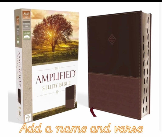 Personalized Amplified Thumb Index Bible