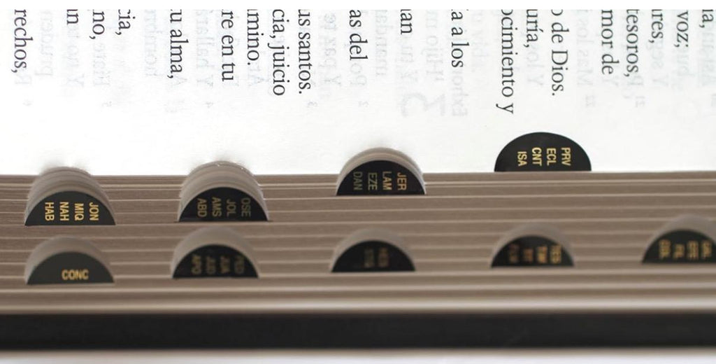 Personalized Spanish RVR 1960 Bible - Black, Large Print, Indexed