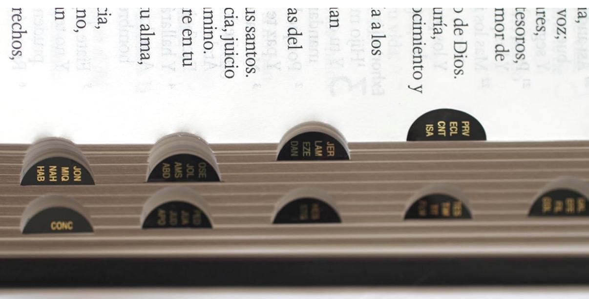 Personalized Spanish RVR 1960 Bible - Black, Large Print, Indexed