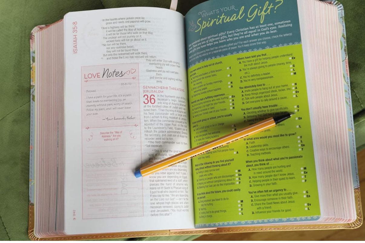 BIBLIA NVI PARA ADOLESCENTES. Biblia para niñas, imitación piel, Biblia para adolescentes verde azulado/dorado