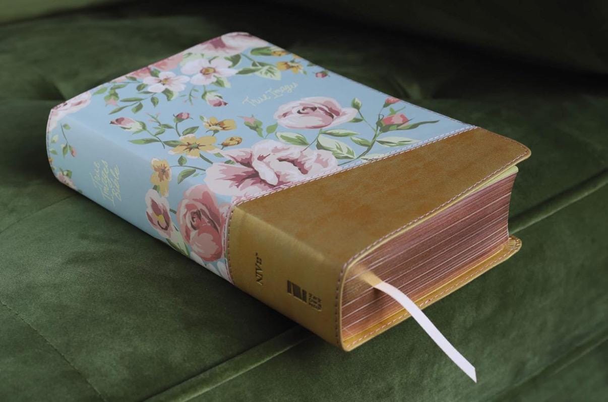 BIBLIA NVI PARA ADOLESCENTES. Biblia para niñas, imitación piel, Biblia para adolescentes verde azulado/dorado